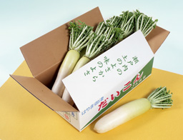Nariyama Shinden Vegetables Photo