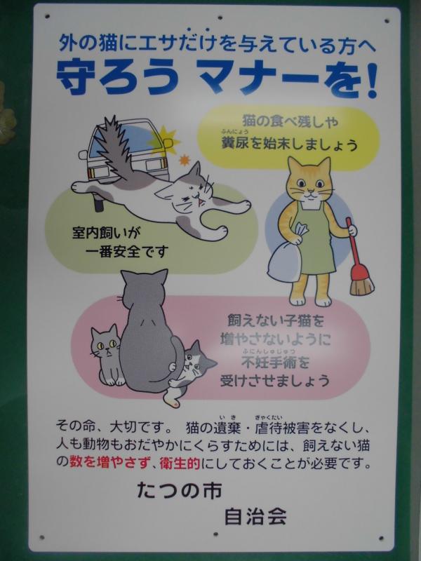 掲示板にペットの飼い方マナーアップ啓発用のポスターが掲示されている写真