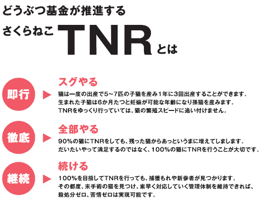 どうぶつ基金が推進するさくらねこTNRについて記載された画像