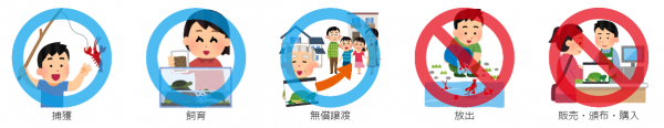 「捕獲」「飼育」「無償譲渡」に丸印、「放出」「販売・頒布・購入」に斜め線が入った赤丸がされている条件付特定外来生物のルールの簡易イラスト