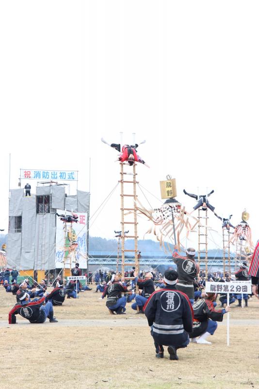 大勢の消防団員たちが、芝生の生えたグラウンドで、たつの市消防出初式のはしご乗り演技を行っている写真