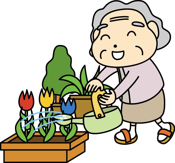 年配の女性が花壇のチューリップに水やりをしているイラスト