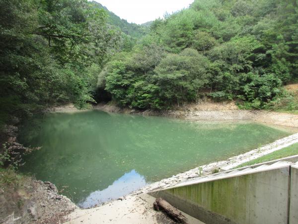 手前に階段があり、周りを木々に囲まれている道谷池の写真