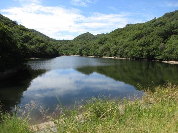 池の周りの傾斜に木々が生えている大正池全体を写した写真