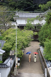 それぞれ赤と青の和傘をさして歩く着物姿の二人の女性が、龍野城の立派な門に続く道を横に並んで歩いている様子を、高いところから写した作品