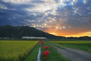 朝日が昇ろうとしている山を背景に田んぼの脇道から走っている電車を撮影した写真