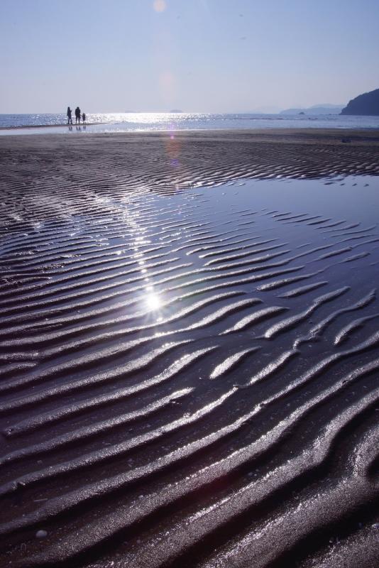 引き潮の後に、さざ波のような波の跡がついて少しだけ海の水が残った遠浅の砂浜と、その砂浜の波打ち際近くを散歩する三人の親子連れを写した作品