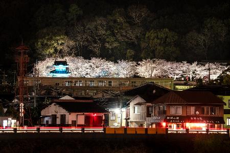 桜が満開の夜の龍野城を対岸から撮影した作品