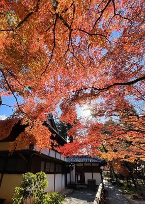 紅葉と聚遠亭を写した作品