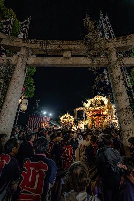 夜の鳥居と、神輿と、祭りに参加する人々を写した作品