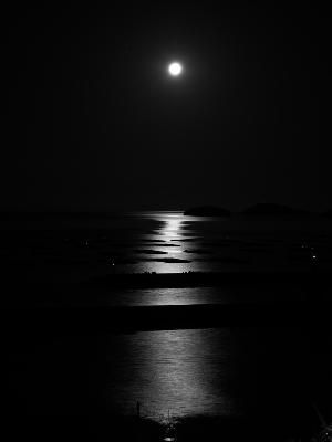 夜の海に浮かんでいる牡蠣筏を満月が照らしていて道のように見える作品