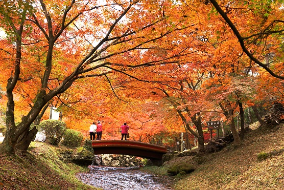 公園内に生えるオレンジ色の紅葉した木々と、中央にある小さな橋の上から紅葉を眺める人々の写真