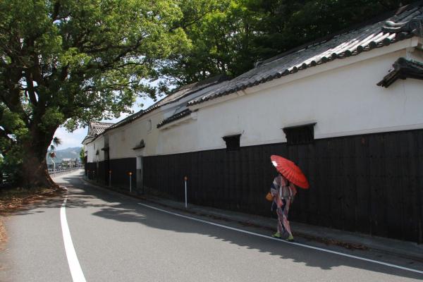 細い道路沿いに建てられた歴史のある堀家の塀沿いを赤い和傘をさして歩く人と、その道路わきに生える巨大な緑の木を写した作品