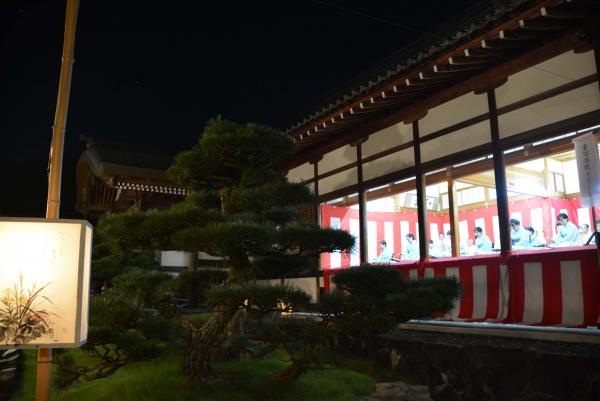 暗い夜に、歴史を感じる立派な建物の中にある紅白幕が飾られた部屋で何かの催しを行う着物姿の人々と、建物のそばに生えた立派な松を建物の外から写した写真