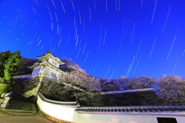 星がたどった光の跡がぐるぐると円を描いているように見える夜空と、その空の下でライトアップされた龍野城の隅櫓や満開の桜の木々を下から写した作品