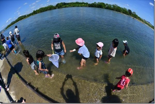 幼い子供たちが膝まで水につかり、網で掬って中身を確認している写真