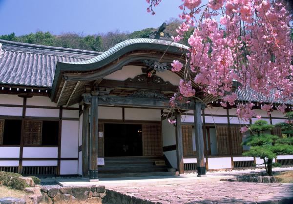 垂れた枝にピンク色の花を咲かせる桜の木と、その木の向こうに建つそり曲がった玄関屋根を持つ瓦屋根の立派な建物を斜め前から写した作品