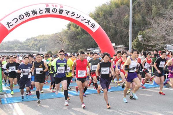 スタート地点に設置された赤いエアーアーチをくぐって走り始める大勢のランナーたちを斜め前から写した写真