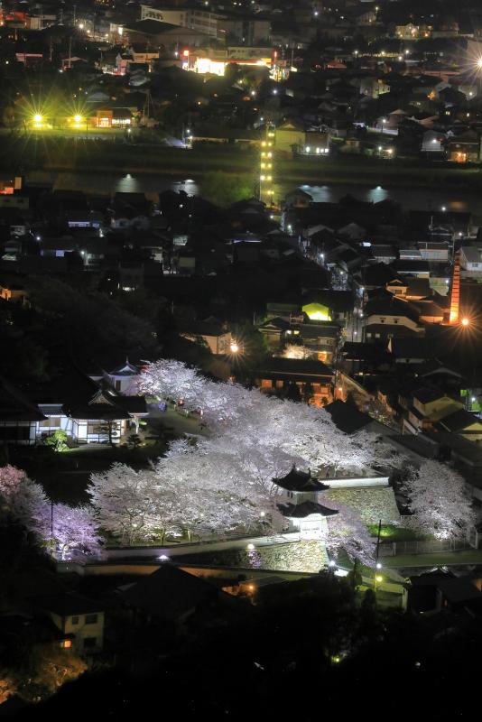 暗い夜にライトアップされた龍野城の建物とその周辺に咲く満開の美しい桜を上空から写した作品