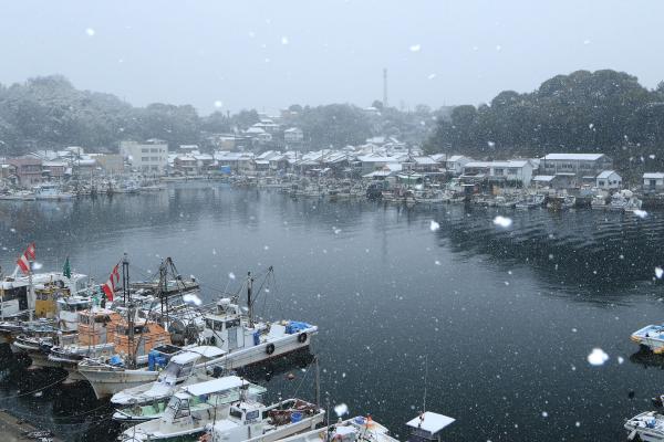 多くの船が停泊している港に雪が降っている写真