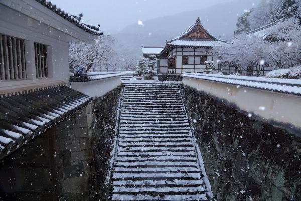 奥の建物へ通じる階段に雪が降り積もっている写真