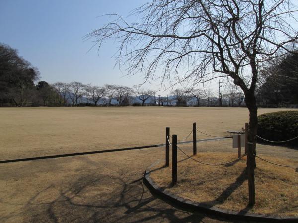 冬の晴れた日の、葉の落ちた木々が外周を囲んでいる芝生のグラウンドの写真