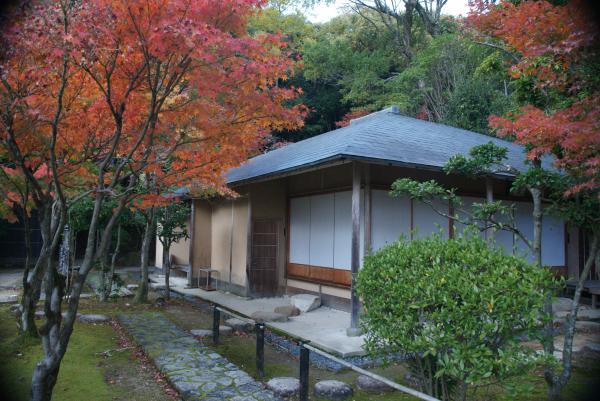 所々紅葉した木々と水の流れる小さな水路に囲まれた、木製の楽庵の写真