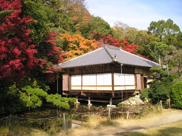 所々が紅葉した木々に囲まれ、池の中に建てられた木製の茶室の写真
