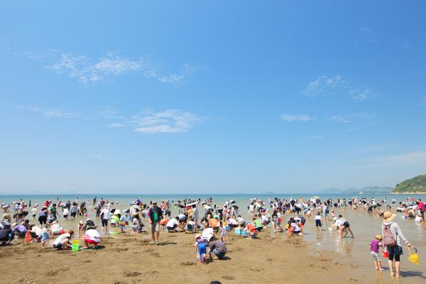 青空のもと、遠浅の海で潮干狩りを楽しむ大勢の大人たちや子供たちを写した写真