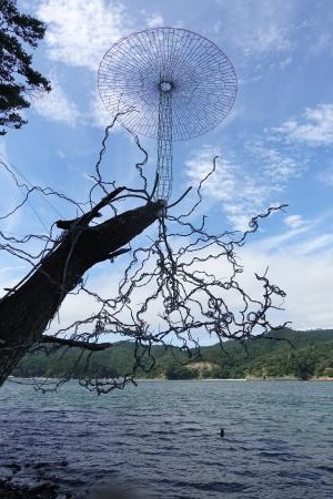 今村源さんの作品。木の根っこからワイヤーで作られたきのこが寄生してる立体のオブジェの写真