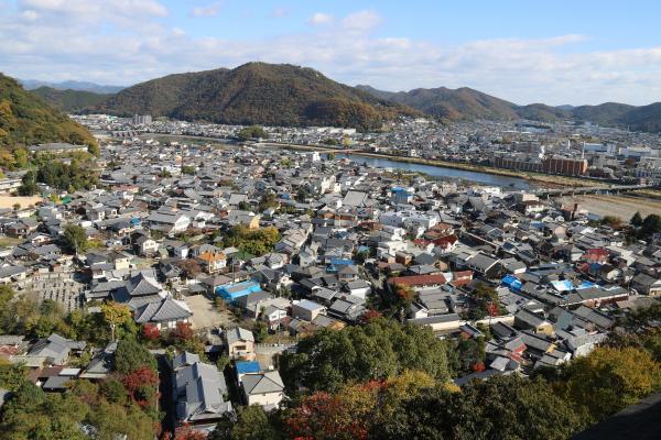 中央に大きな橋がかかる川を挟んで建物が建ち並んでいる、龍野伝建地区を高台から撮影した写真