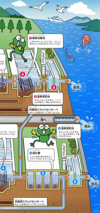 浄化センターで様々な工程を経てきれいになった水が海に放流されているイラスト