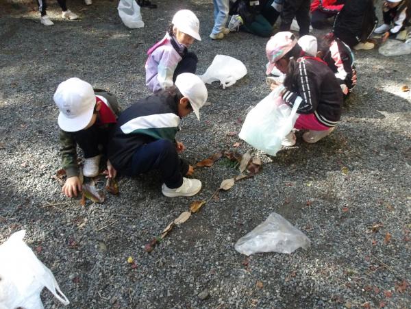 児童たちが地面に落ち葉を並べている写真