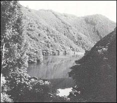 木々が鬱蒼と茂った山に囲まれた栗栖池のモノクロ写真