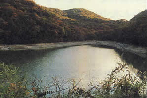 木々が鬱蒼と茂った山に囲まれた大正池の写真