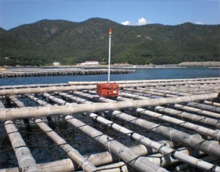 中央に赤色の機械の様な物が置いてある、海に浮かんだ竹で作った大きないかだの写真