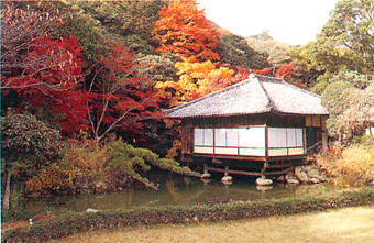 葉がオレンジ色や赤色に紅葉した木々に囲まれ、池の中に建つ茶室の建物の写真