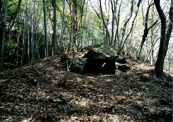 森の中に作られた馬場前山4号墳の石で作られた入口を撮影した写真