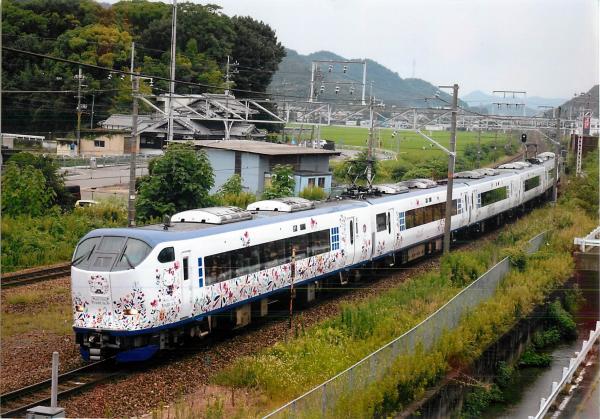 田んぼや山を背景に用水路の横を走る白地に白い猫のキャラクターのイラストが書かれた新幹線の写真