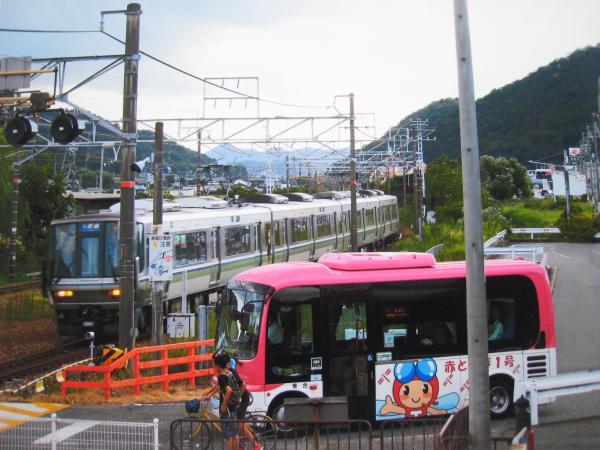 踏切を進んでいく電車を通り過ぎるのを待っているバスと自転車に乗った2人の男の子の写真