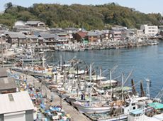 沢山の船が停泊している室津港の写真