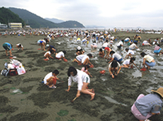 大勢の人が海岸で潮干狩りをしている写真