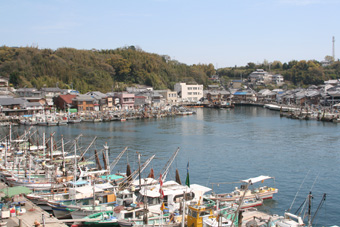 周囲に民家が建ち並び、沢山の漁船が停泊している室津港の写真