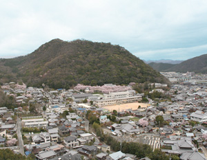 周囲を学校や民家などの建物に囲まれ、原生林に覆われた鶏籠山の写真