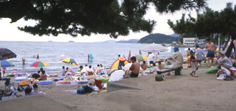 沢山のパラソルが立ち、大勢の人たちが海水浴を楽しんでいる新舞子浜の写真