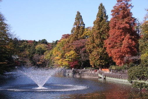噴水がある池の回りの木々の葉が黄色や赤色に色付いている写真