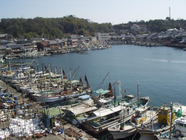 沢山の船が室津港に停泊している写真