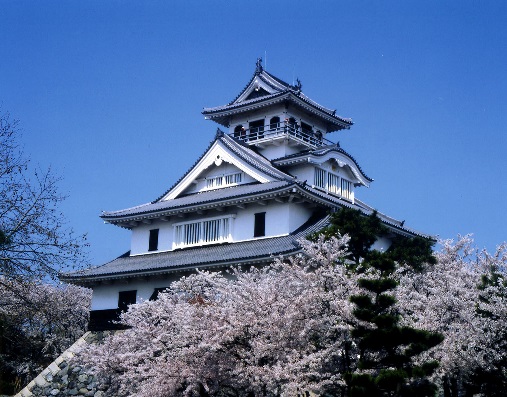 満開の桜の木々に囲まれている城の写真