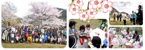 左:満開の花が咲く桜の木の前に参加者が集まっている集合写真、 中央上:開花した桜の花のイラスト、 中央下:女性に教わりながら女の子たちが工作している写真、 右上:白い服を着た女性と、輪になって立っている参加者の女性が向かい合って立ち一緒に何かを持っているレクリエーションを行っている様子の写真、 右下:淡いピンク色の桜の花ごしに、参加者が花見を行っている様子を撮影した写真