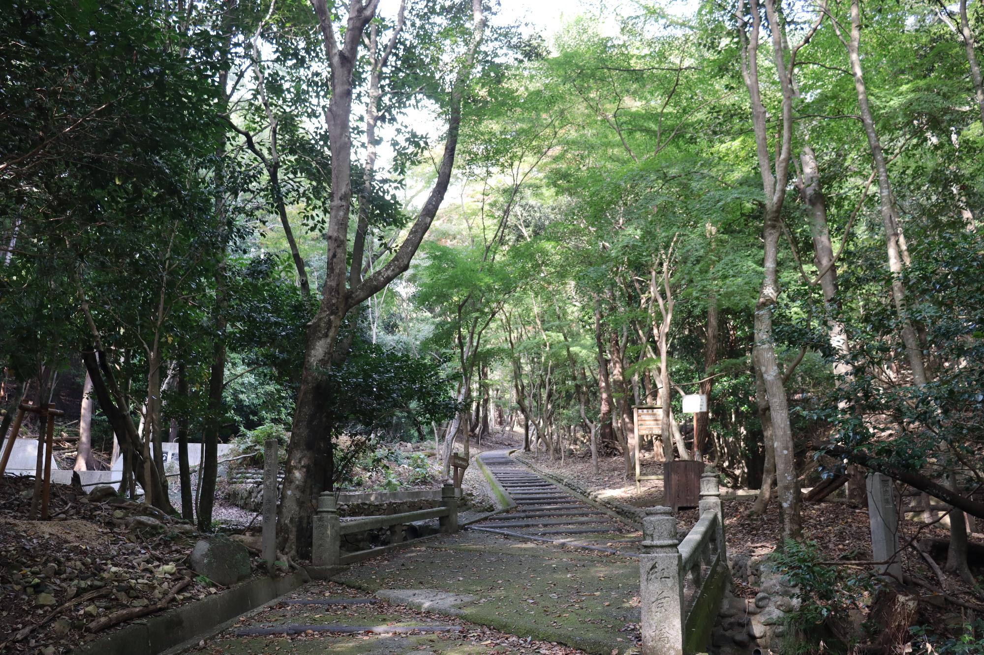 11月7日現在紅葉谷紅葉写真2